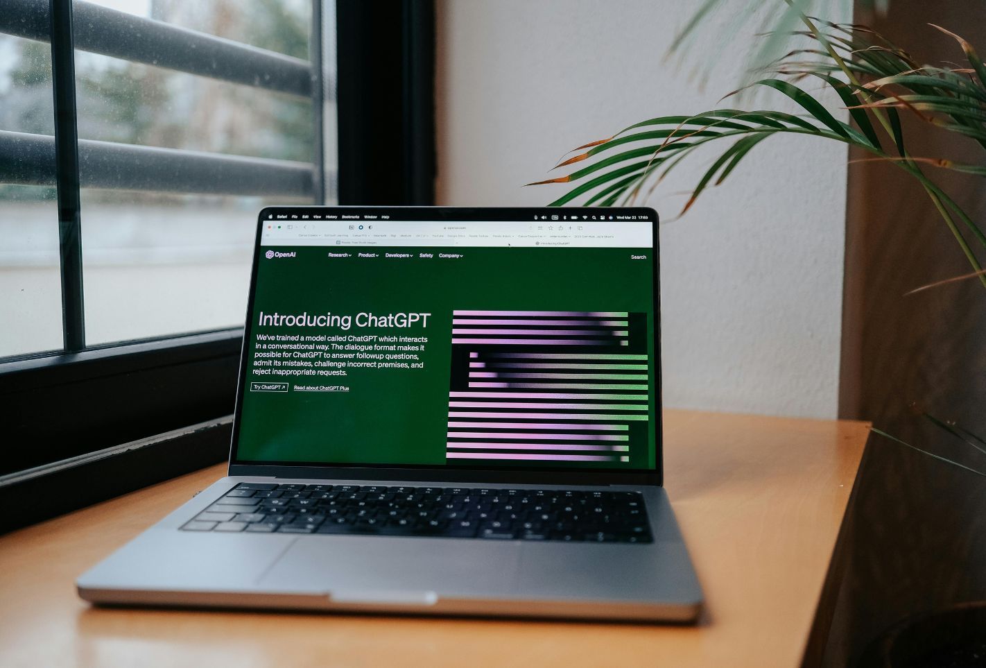SEO für ChatGPT, Perplexity Gemini und Co